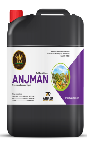 Anjuman 4Ltr