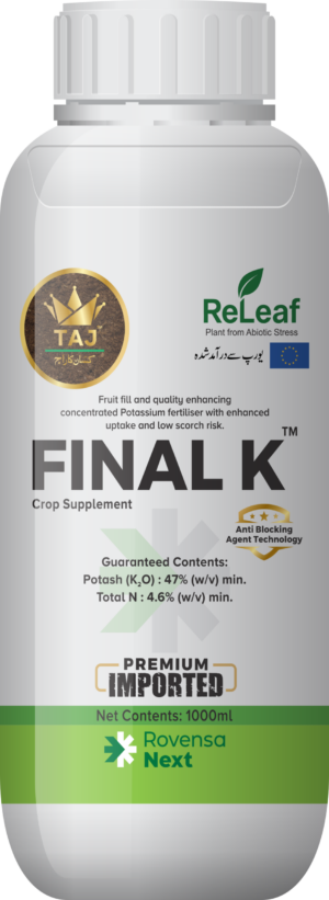 Final K
