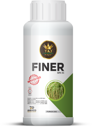 FINER