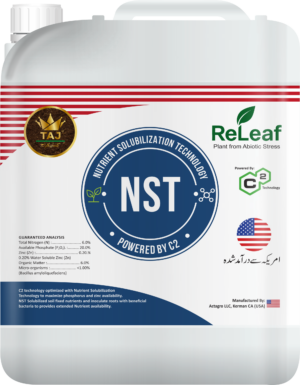 NST