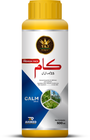 Calm